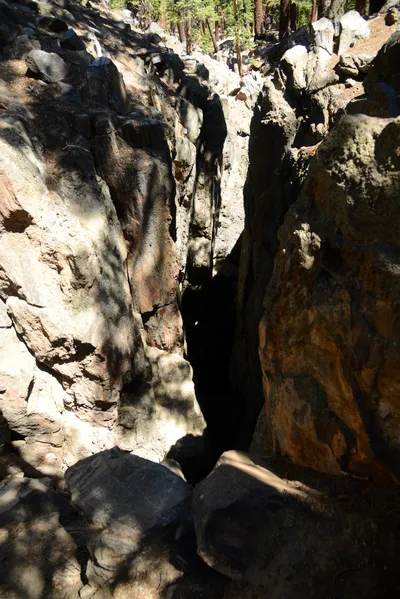 DSC_9972 (Large).JPG